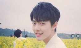 肖战最新爆料投稿,幕后故事与成长心路历程